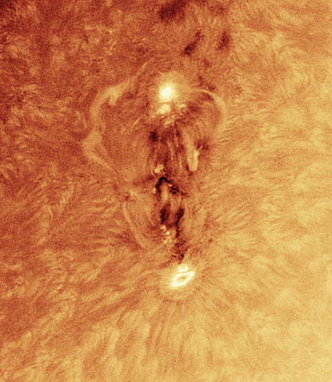 solar
                  spots 2024