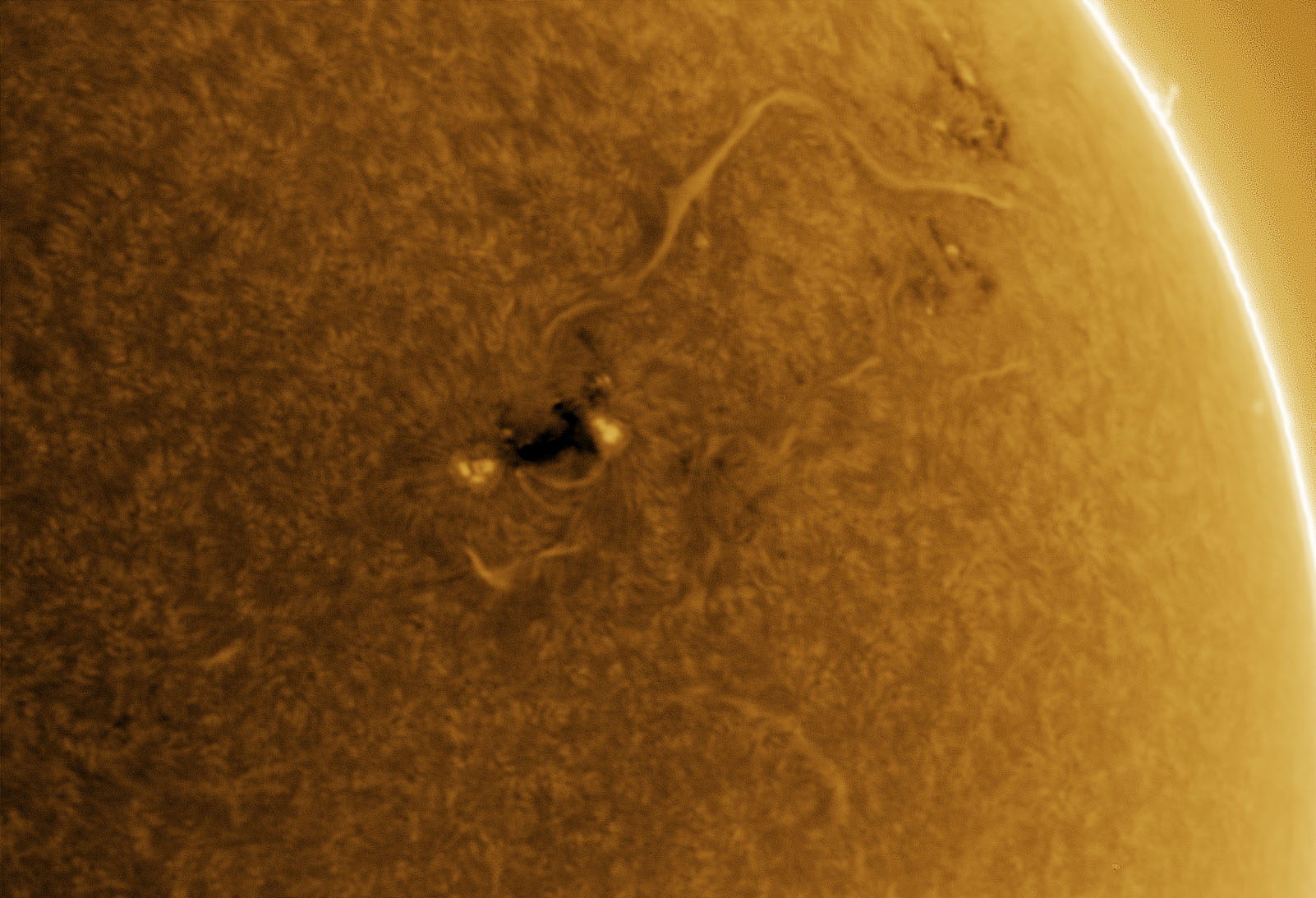 Sun 3x Barlow
                  2023_09_07